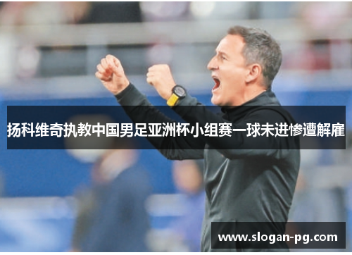 扬科维奇执教中国男足亚洲杯小组赛一球未进惨遭解雇